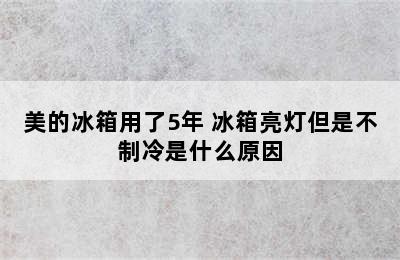 美的冰箱用了5年 冰箱亮灯但是不制冷是什么原因